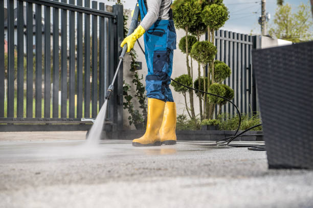 Best Roof Pressure Washing  in Independence, IA